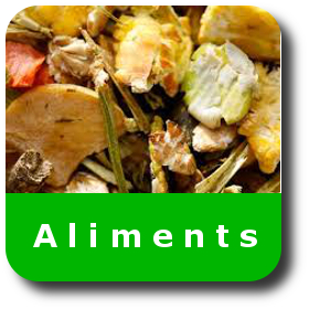 aliments_pour_chevaux